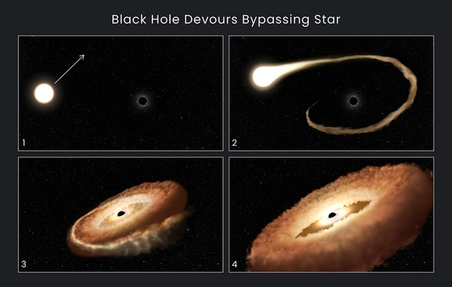 Esta sequência de ilustrações artísticas mostra como um buraco negro pode devorar uma estrela que passa por ele