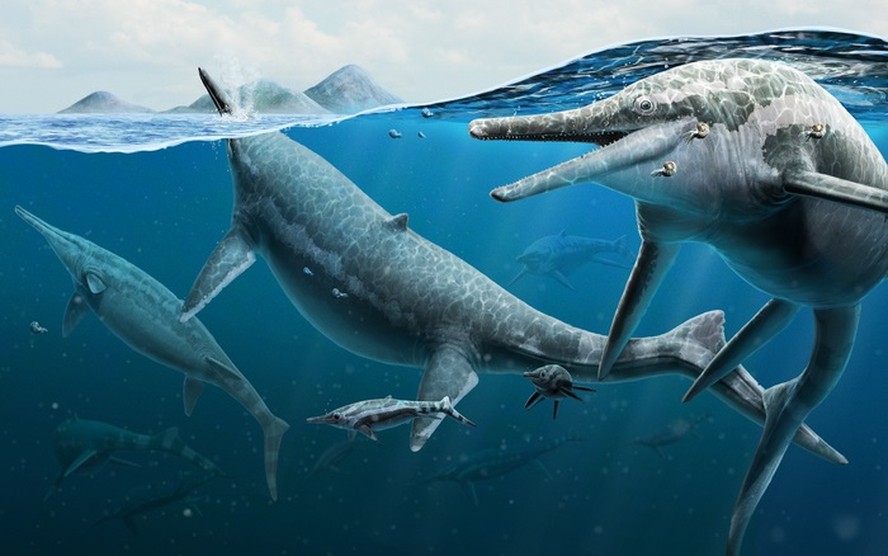 Sítio paleontológico nos EUA era berçário de répteis gigantes marinhos