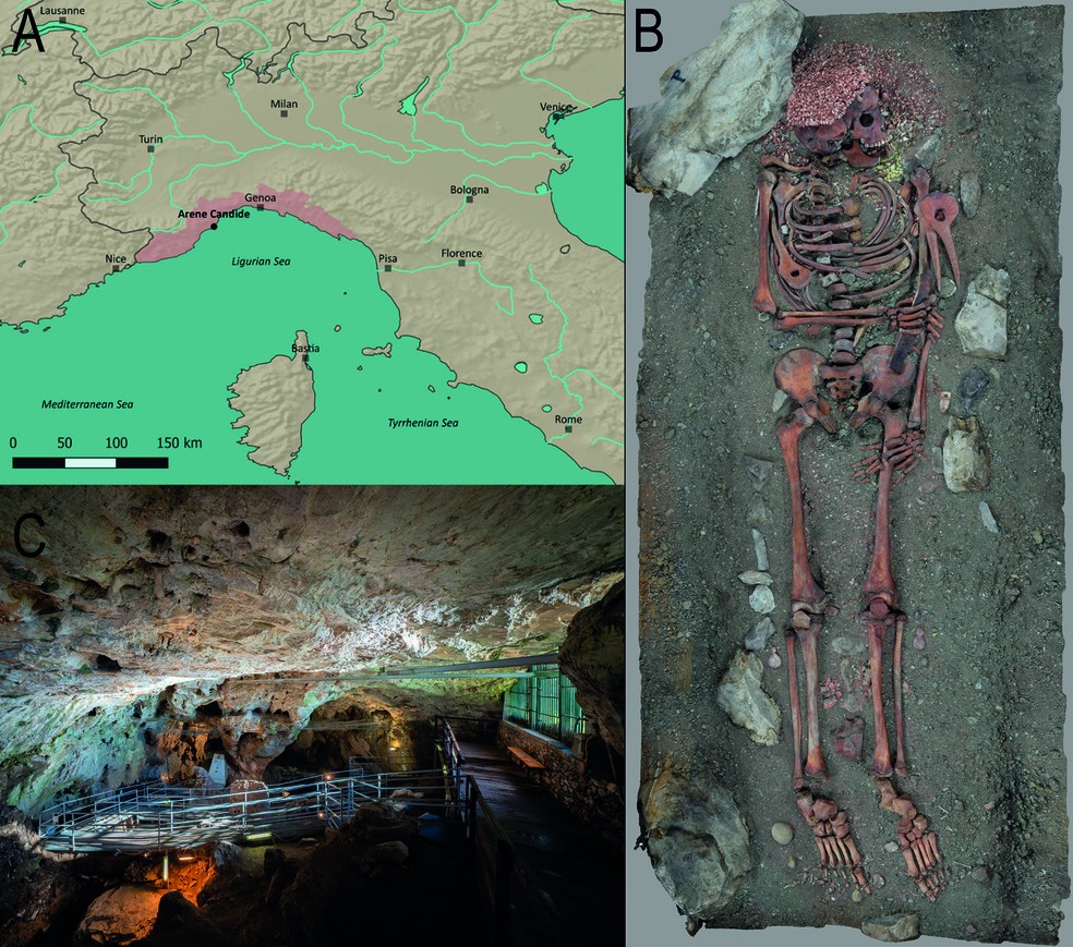 A: Localização geográfica de Arene Candide, no norte da Itália, com a região da Ligúria destacada em vermelho. B: Vista zenital do túmulo “Il Principe”, conforme exibido no Museo di Archeologia Ligure, em Gênova Pegli. O modelo fotogramétrico foi criado para este estudo. C: Vista do salão oriental da caverna Arene Candide — Foto: Vitale Stefano Sparacello et al.