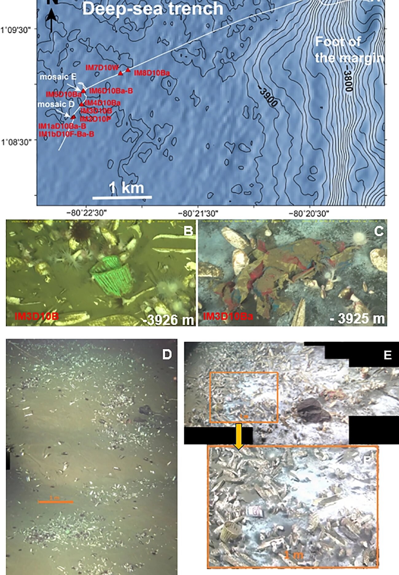 Imagem ilustrativa do oceano profundo com resíduos de plástico visíveis