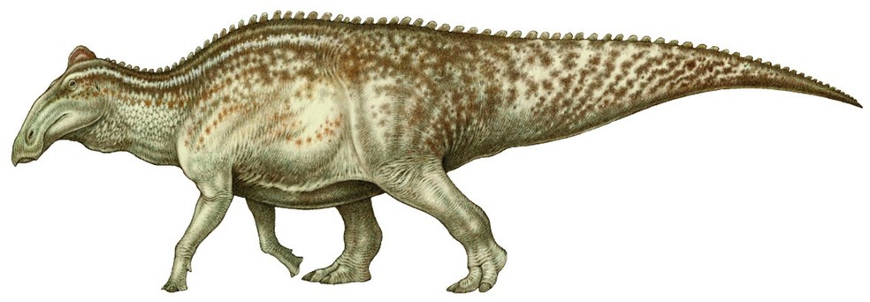 Edmontosaurus — Foto: Arte feita por Natee Puttapipat e publicada por Stephanie K. Drumheller, Clint A. Boyd, Becky M. S. Barnes, e Mindy L. Householder via Wikimedia Commons