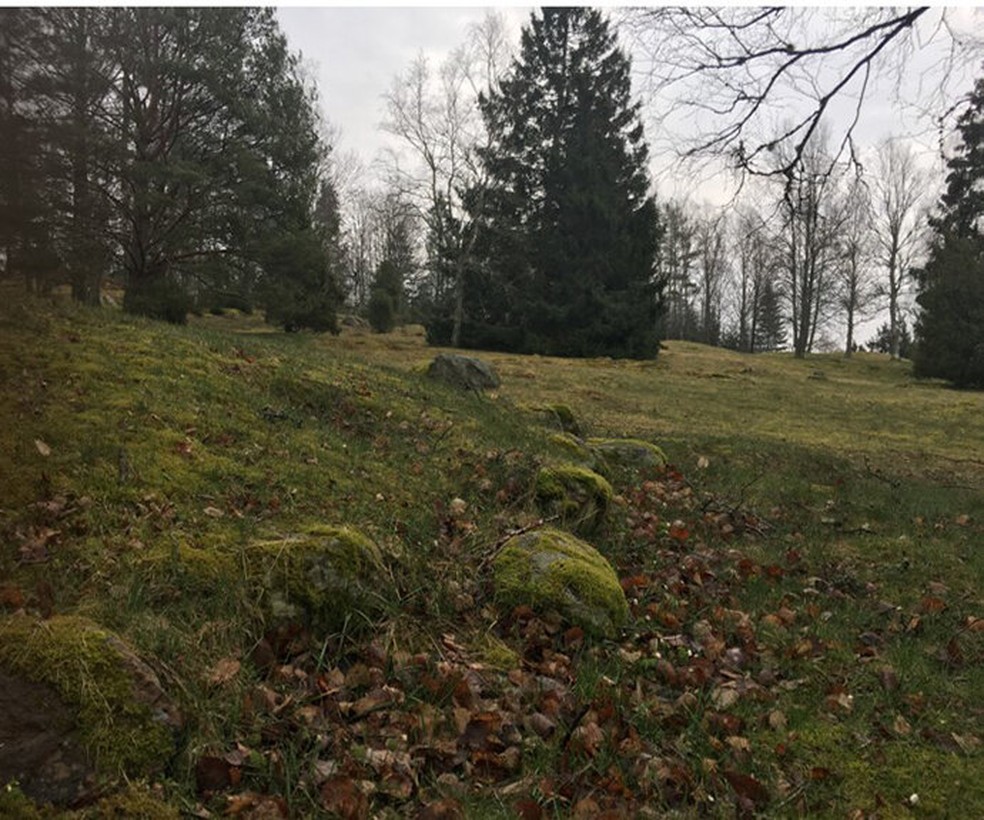 Túmulo da era romana Stubhøj e a Store Vikingegrav no cemitério de Hunn em Ostfold estão marcados com pedras — Foto: Reprodução/Julie Lund
