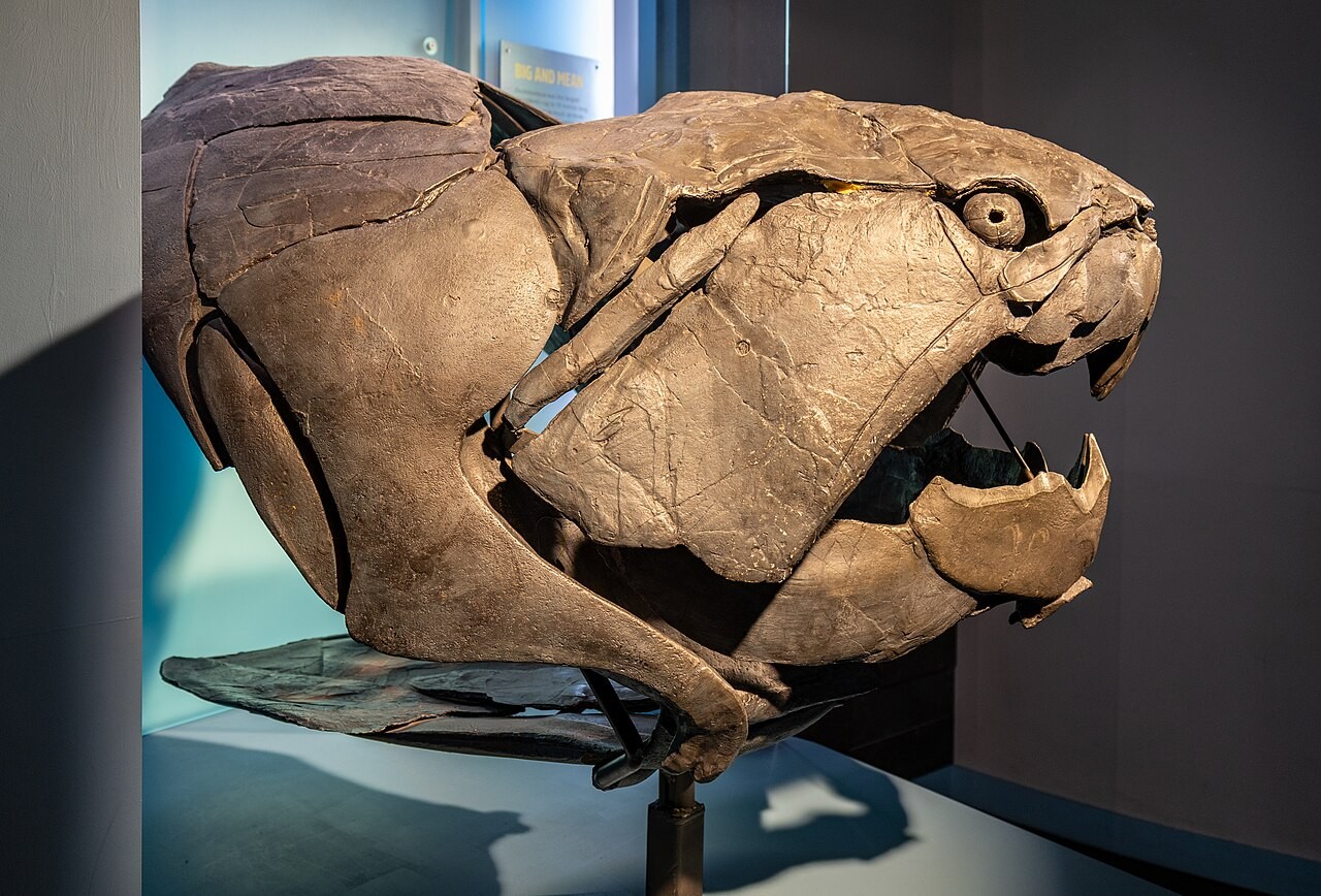 Estudo descreve monstro marinho que dominava oceanos há 360 milhões de anos