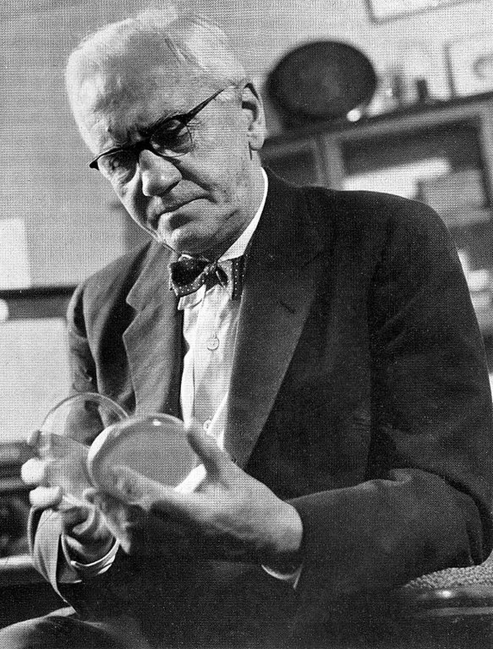 Alexander Fleming (1881-1955), cientista que descobriu a penicilina — Foto: Wikimedia Commons