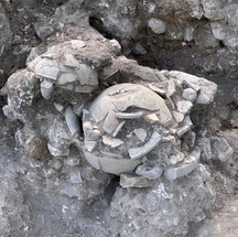 Esqueleto humano de 1,2 mil anos portando um anel de jade foi descoberto dentro de vaso 