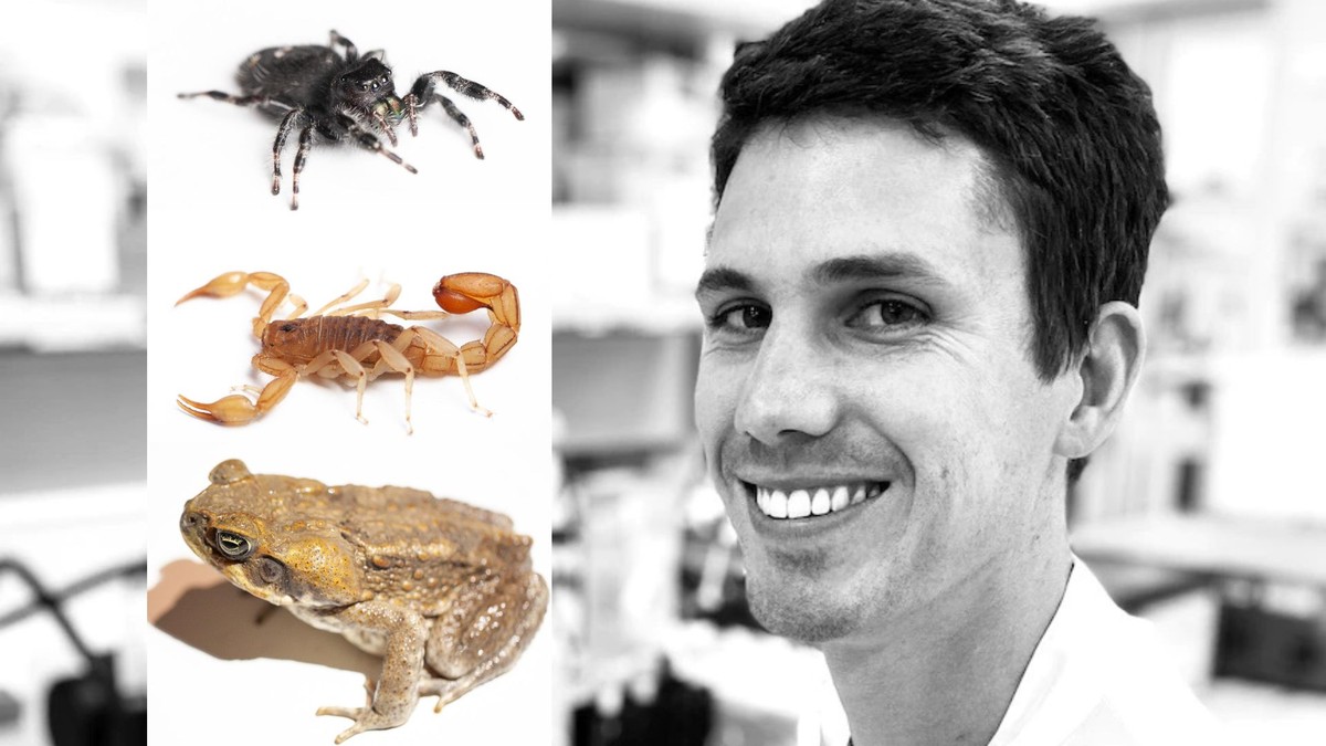 Biólogo deixa centenas de animais e insetos o machucarem 'em nome da ...