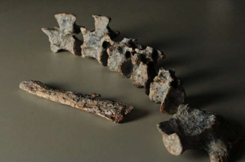  Rodrigo Temp Müller