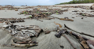 Peças plásticas de estações de tratamento de água chegam a praias do Paraná