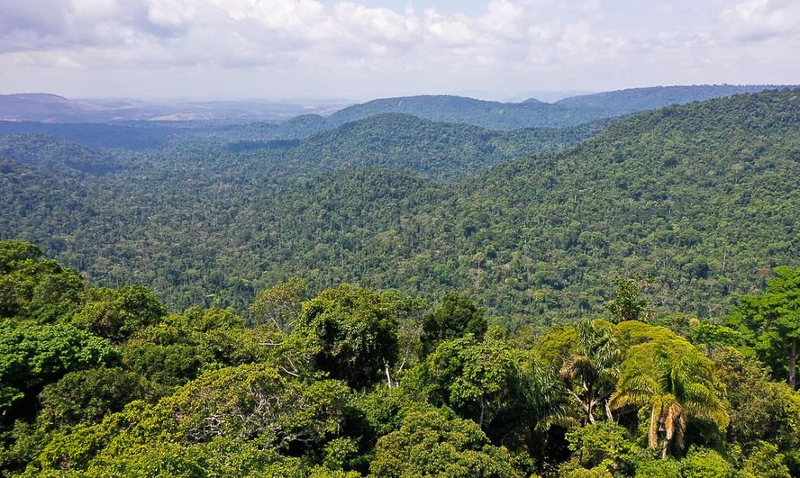 Com aproximadamente 5 milhões de km², a Amazônia é a maior floresta tropical do mundo