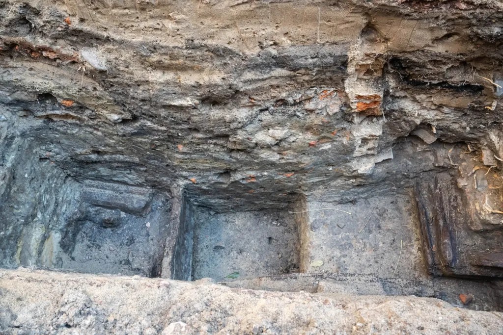  Tytus Żmijewski/PAP