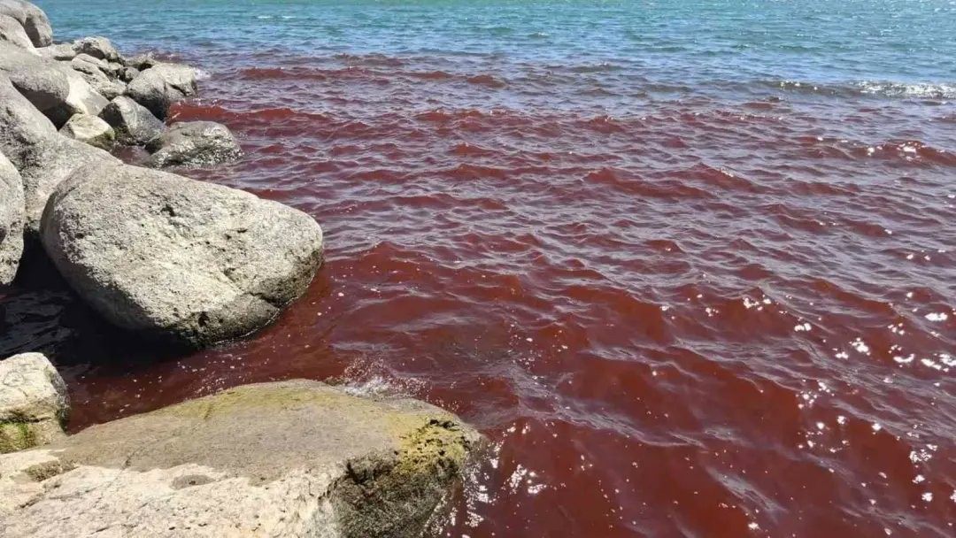 Mau presságio bíblico? Mar da Galileia fica vermelho e assusta moradores