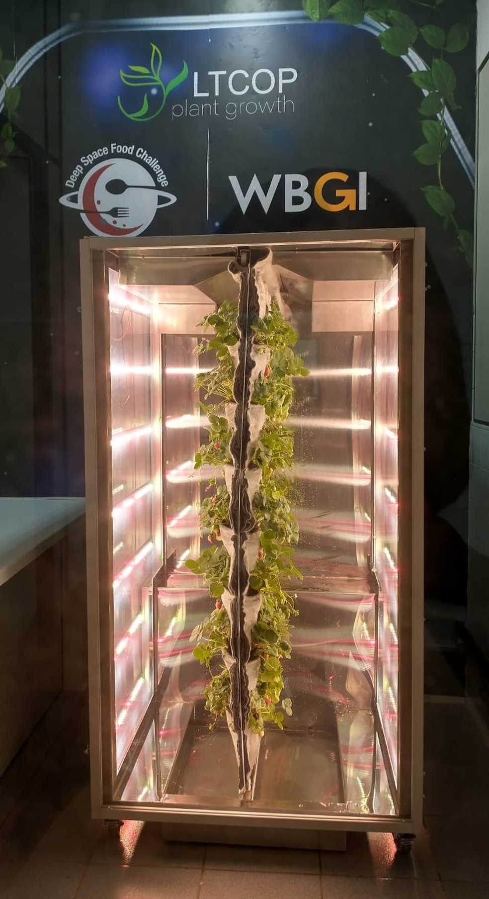 Módulo de produção de morango que foi classificado na Fase I do Deep Space Food Challenge da NASA — Foto: Divulgação