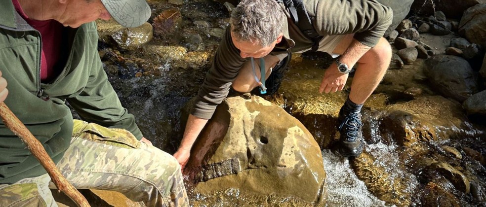 Equipe encontrou fósseis de 80 milhões de anos após ciclone na Nova Zelândia — Foto: GNS Science 