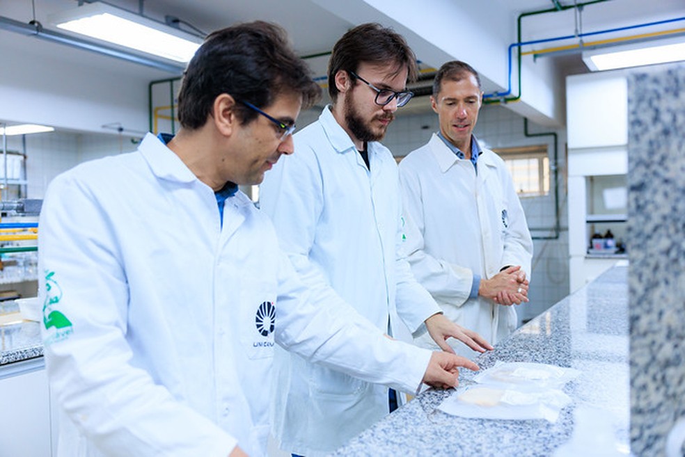 O forte aroma de maracujá em algumas combinações de fungo e substrato não era um resultado esperado pelos pesquisadores, mas os surpreendeu positivamente — Foto: Igor Alisson/Inova Unicamp