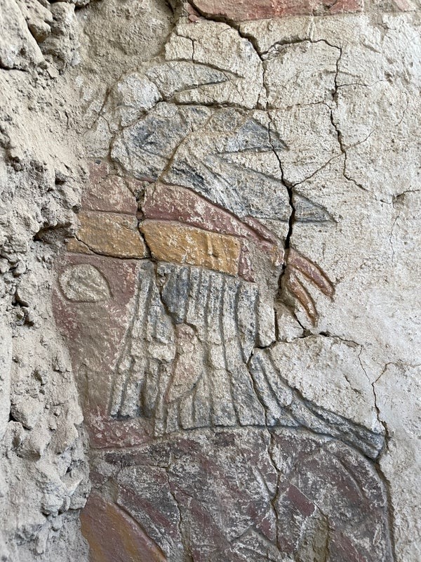 Detalhes de mural peruano de 1,4 mil anos  — Foto: Denver Museum of Nature & Science