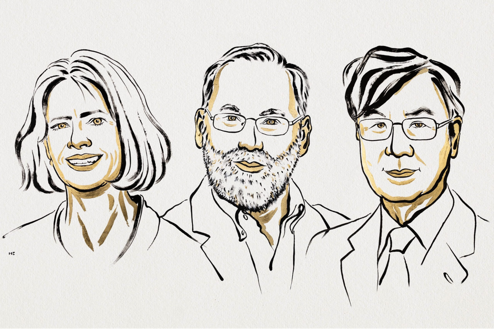  Divulgação/Niklas Elmehed, Nobel Prize Outreach