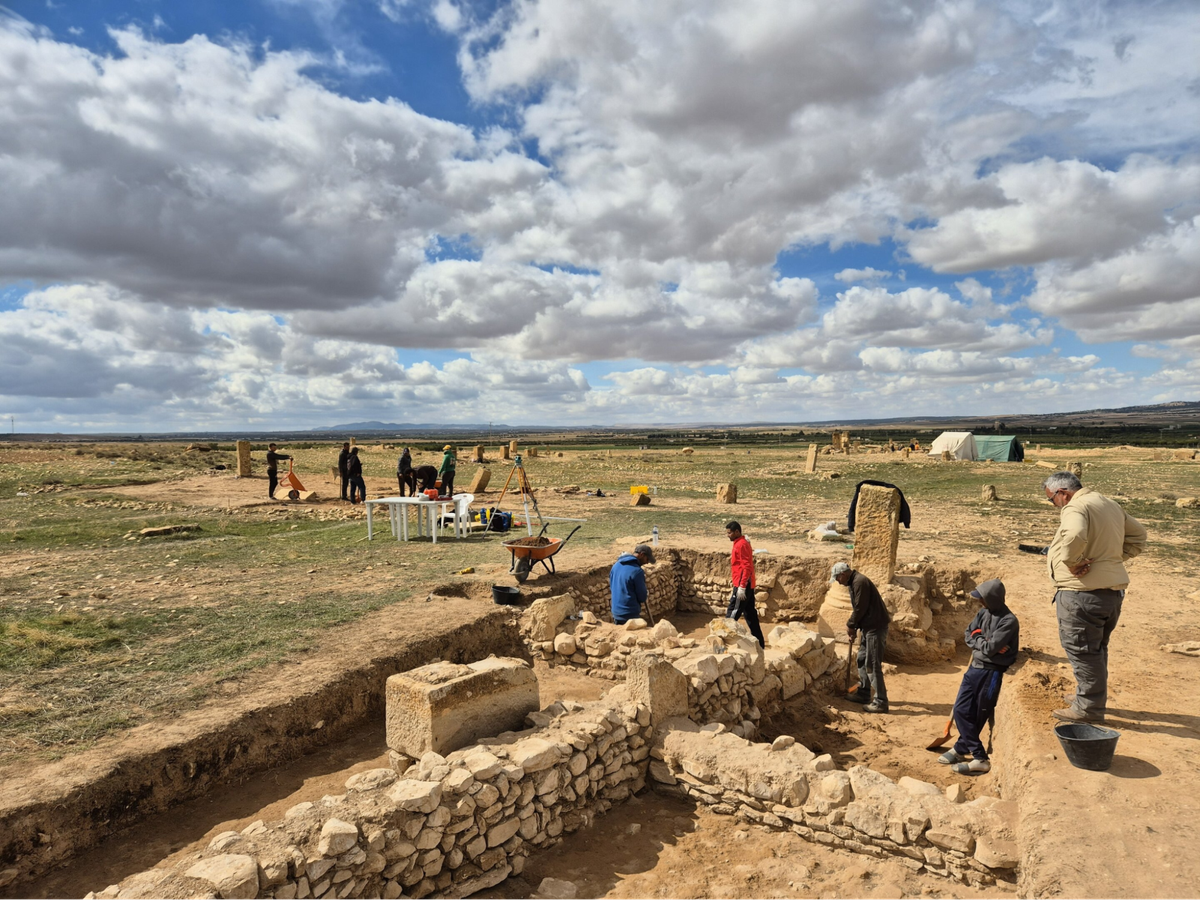 2º maior complexo para produção de azeite do Império Romano é descoberto