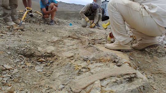 Novo titanossauro de 70 milhões de anos seria o menor da Patagônia Central