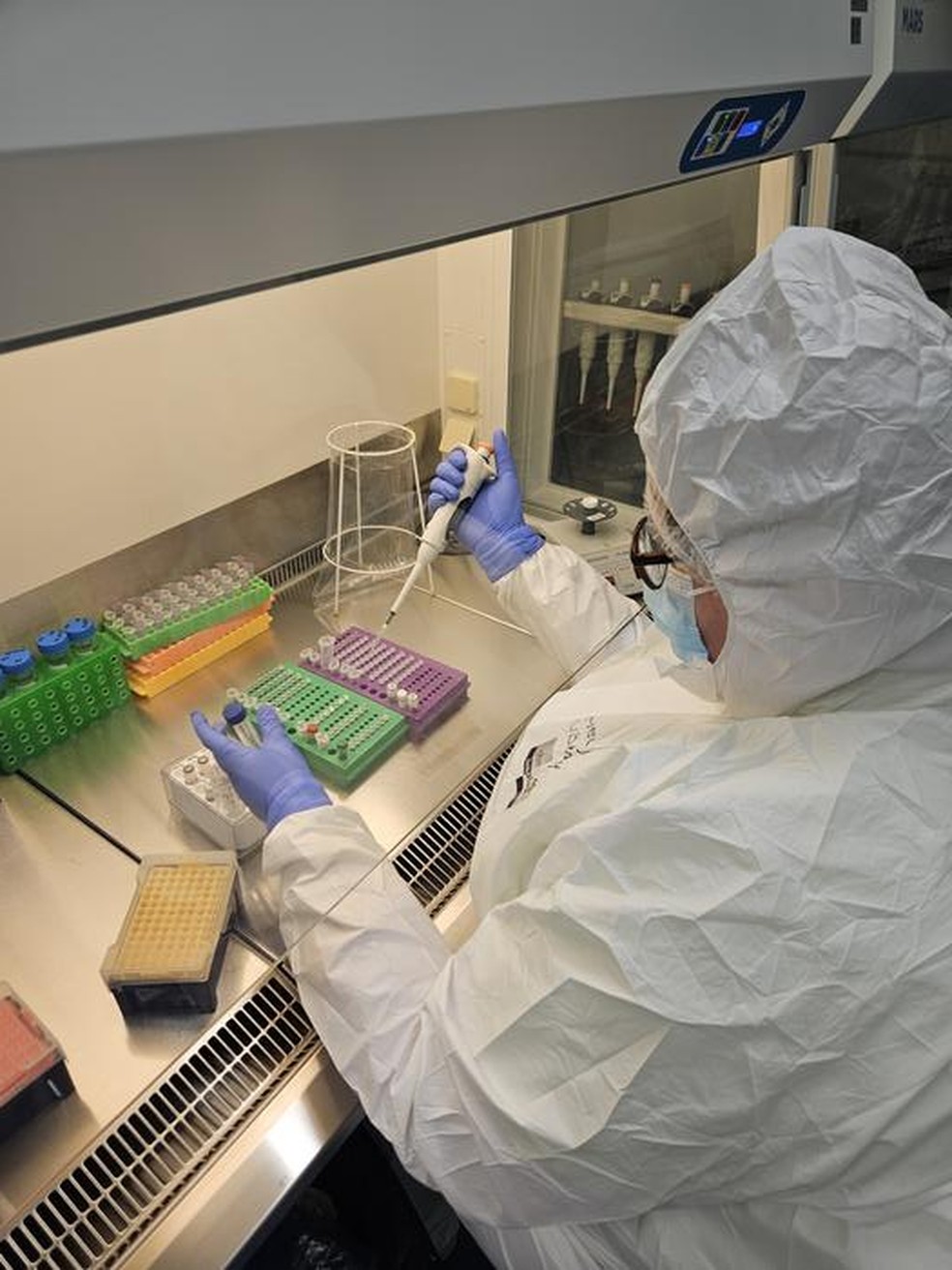 Cientista do laboratório da Universidade de Tartu extraindo DNA dos esqueletos antigos — Foto: Divulgação/Laboratório de DNA Antigo do Instituto de Genômica da Universidade de Tartu