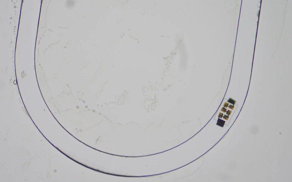 Cientistas criam menor rob&ocirc; aut&ocirc;nomo do mundo, invis&iacute;vel a olho nu