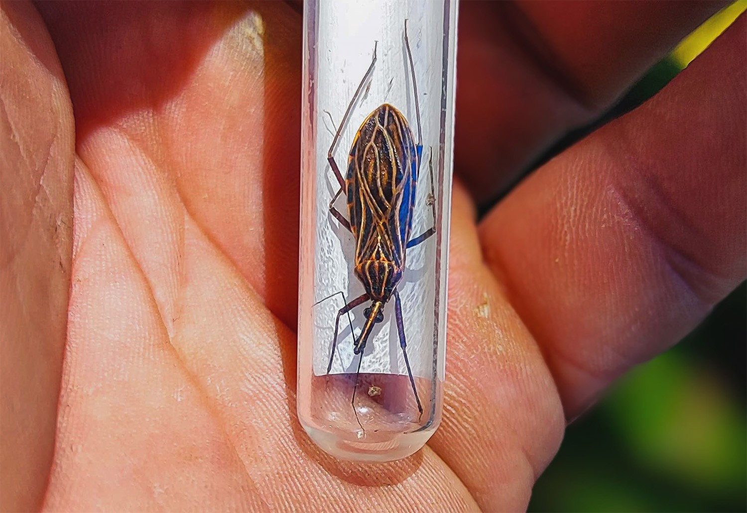 Floresta amazônica no Acre com áreas desmatadas