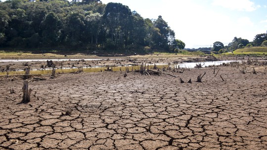 Modelos regionais: alternativa prevê os impactos das mudanças climáticas na Amazônia