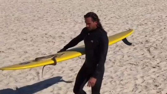 Homem leva cobra píton para surfar, viraliza e é multado na Austrália; veja