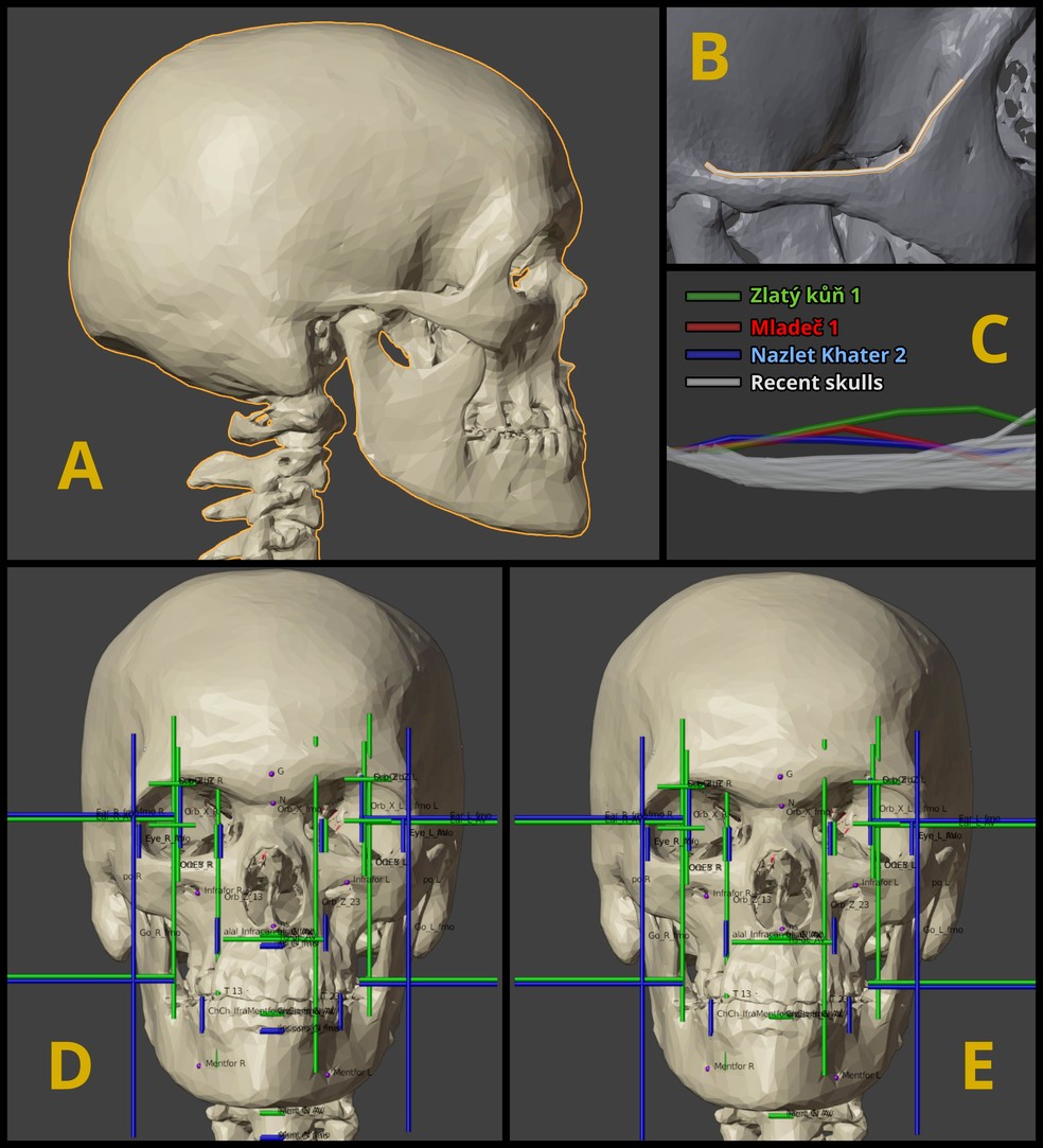 Reconstrução tridimensional do crânio da mulher de 45 mil anos  — Foto: Cicero Moraes et.al 