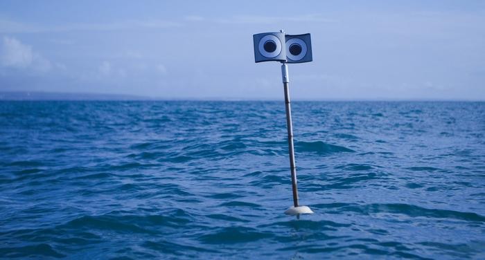 Boia flutuante com olhos animados na costa da Cornualha