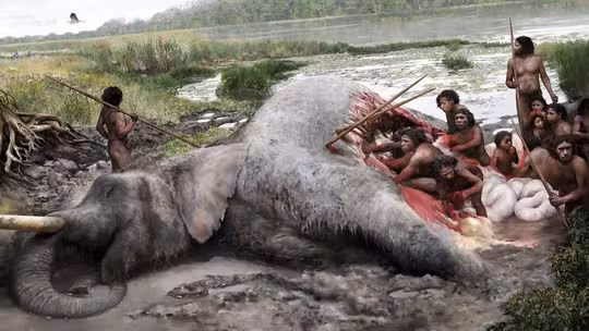 Neandertais caçavam elefantes gigantes com estratégia sofisticada, de acordo com estudo Neandertais caçavam elefantes gigantes com estratégia sofisticada, de acordo com estudo