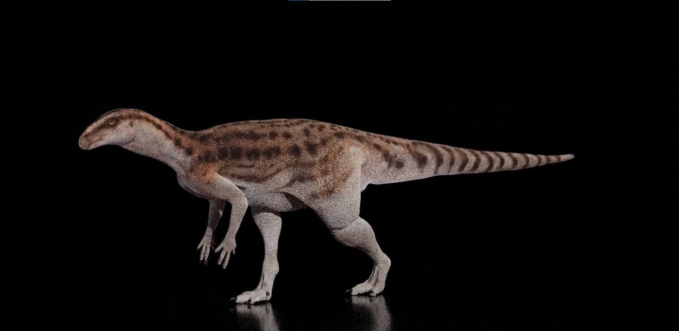 Dinossauro da espécie Anomoepus scambu, responsáveis pelas pegadas encontradas — Foto: Universidade de Queensland