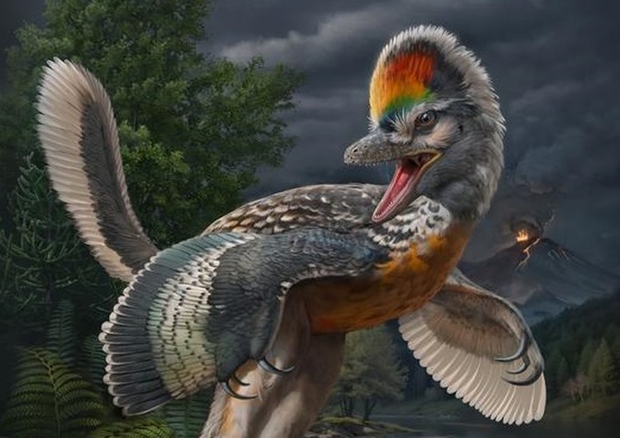 Fóssil descoberto na China revela novo elo na evolução dos pássaros; entenda