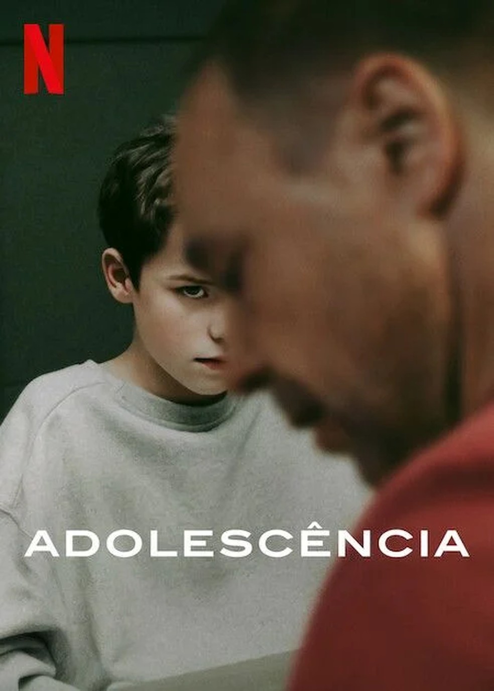 Adolescência Série Explicação