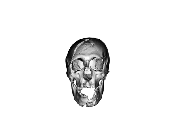  Elte Institute of Biology