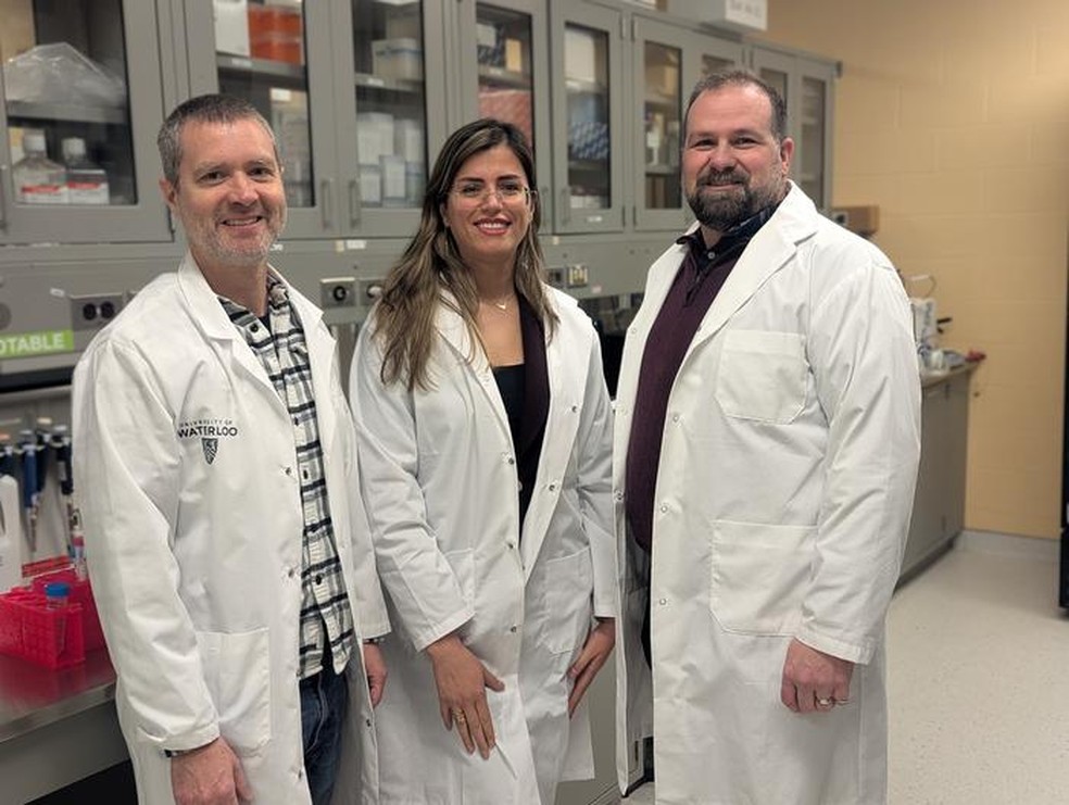 Pesquisadores da Universidade de Waterloo (da esquerda para a direita), Dr. Brian Ingalls, Dra. Sara Sadr e Dr. Marc Aucoin, desenvolveram bactérias para tratar o câncer, atacando os tumores de dentro para fora — Foto: Universidade de Waterloo