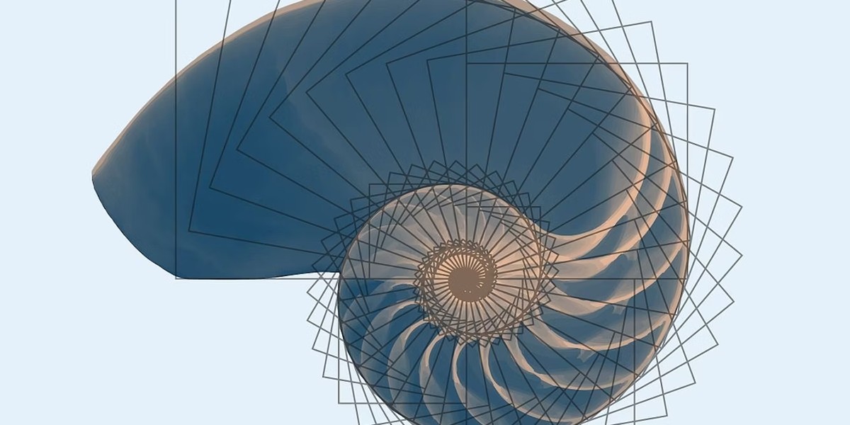 O "número de Deus": o que é a proporção áurea e como ela aparece na natureza