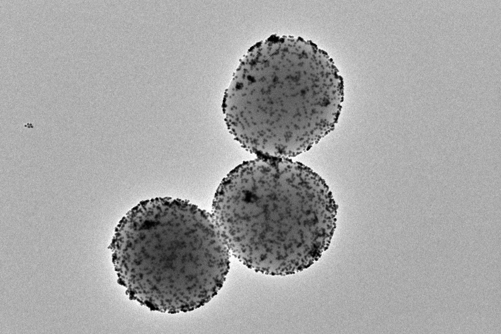 Imagem de microscopia eletrônica de transmissão dos nanorrobôs — Foto: Instituto de Bioengenharia da Catalunha (IBEC)
