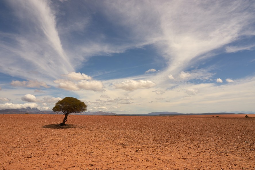 Um dos maiores motivos para o aumento da temperatura é o evento do El Niño que deve se misturar com os gases estufas