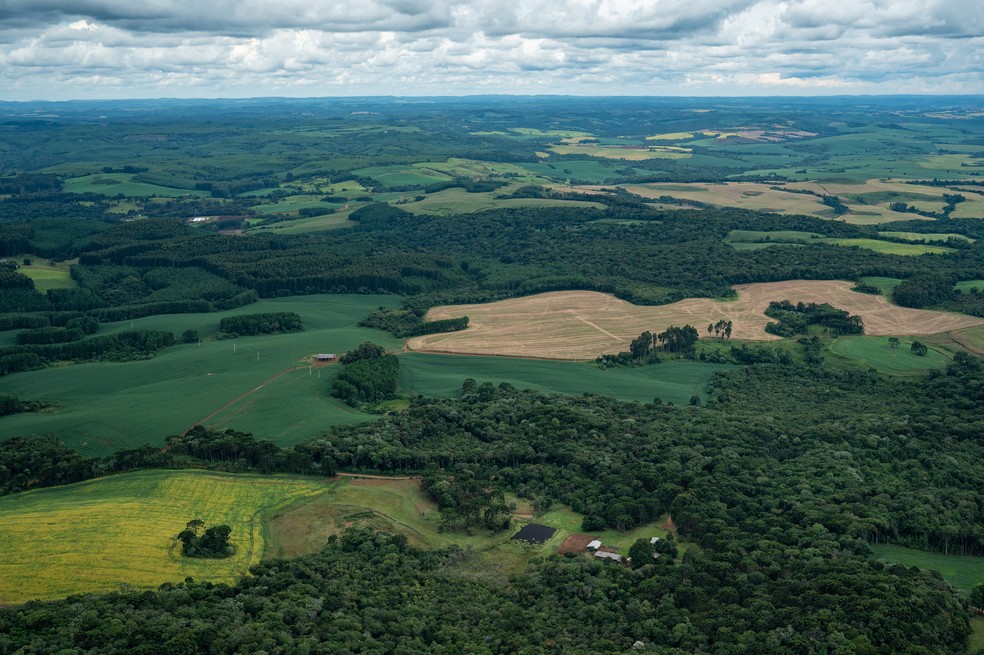 O sobrevoo no Paraná mostrou algumas áreas desflorestadas e algumas preservadas — Foto: SOS Mata Altlântica