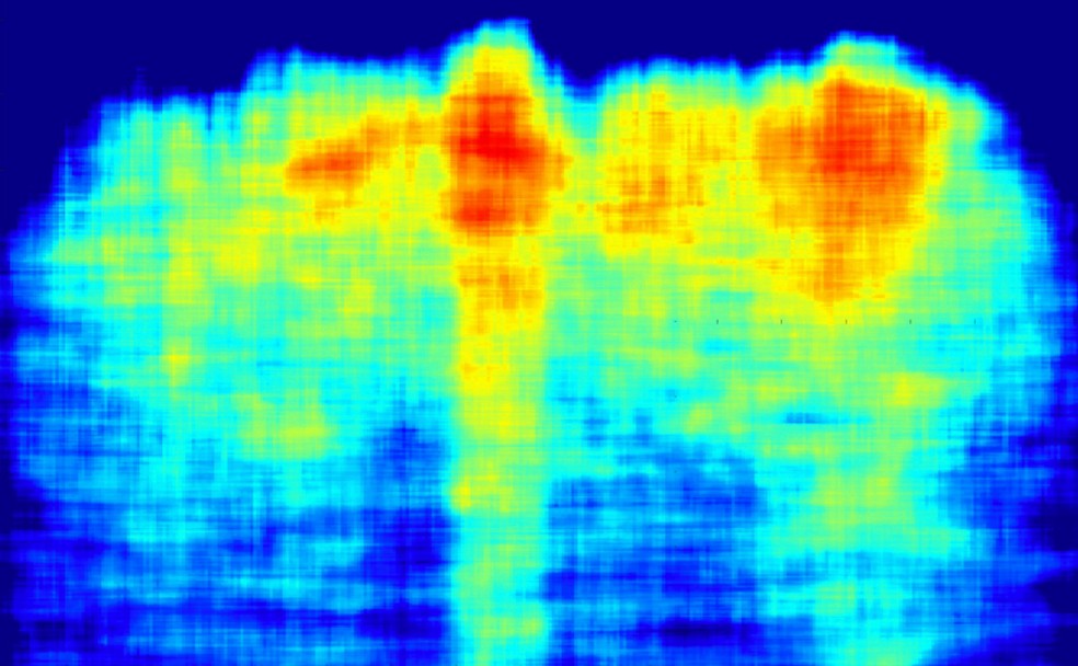 Imagens obtidas em estudo que indicou a presença de possíveis estruturas artificiais no interior das pirâmides — Foto: Khafre Project