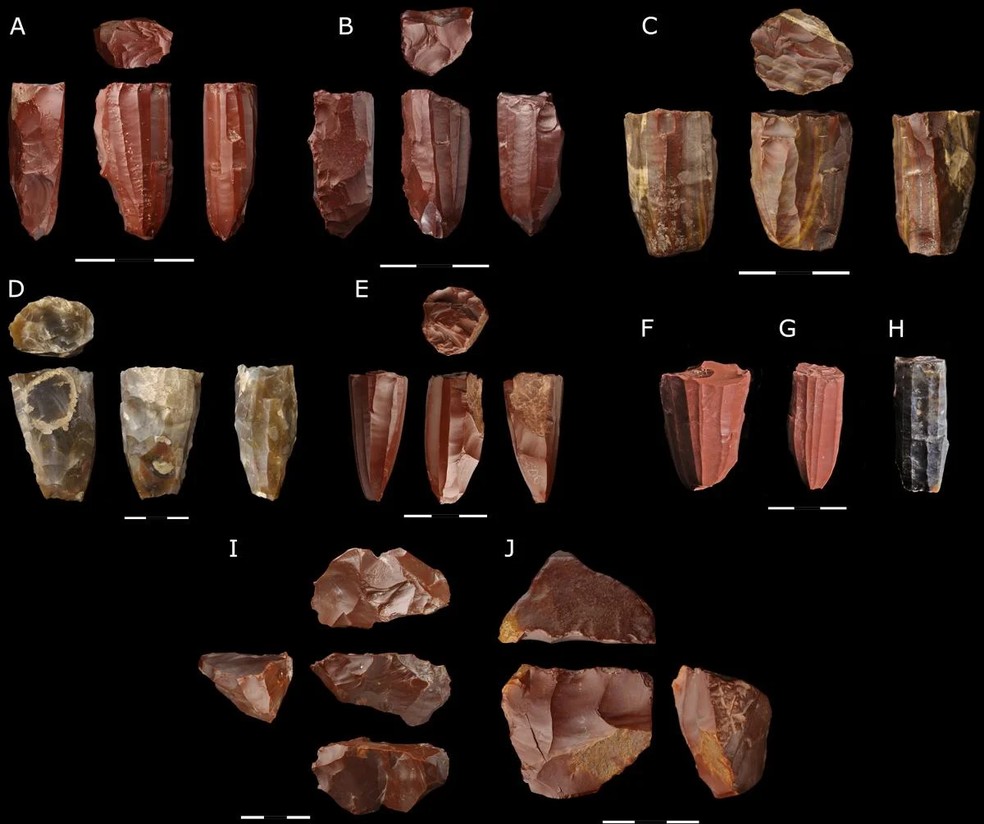  G. Michalec et al., PloS One (2025)