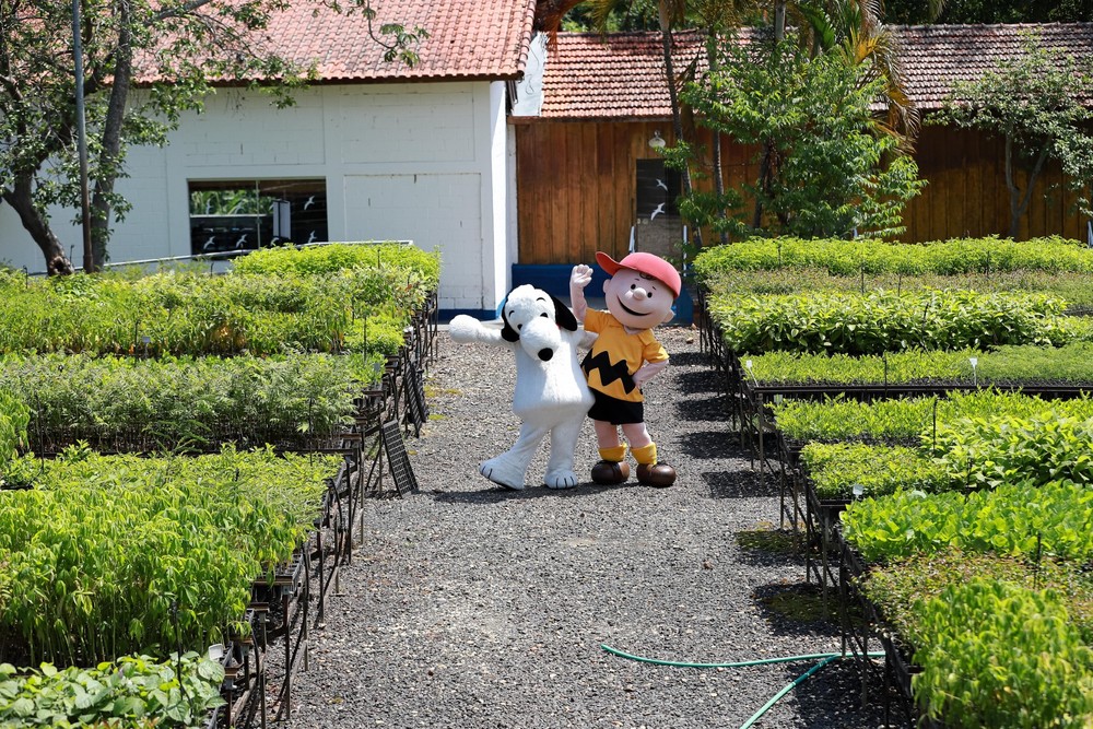 SOS Mata Atlântica traz Snoopy para ensinar sobre o bioma em novo espaço