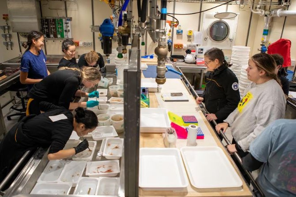 Mais de 60 cientistas de diferentes disciplinas se reuniram na expedição — Foto: Divisão Antártica Australiana