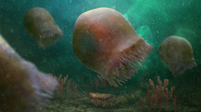 Reconstrução artística de um grupo de Burgessomedusa phasmiformis nadando no mar cambriano — Foto: Divulgação/Christian Mccall