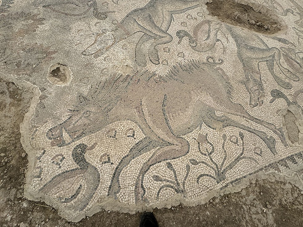 Mosaico romano de 84 metros quadrados é encontrado inteiro na Turquia