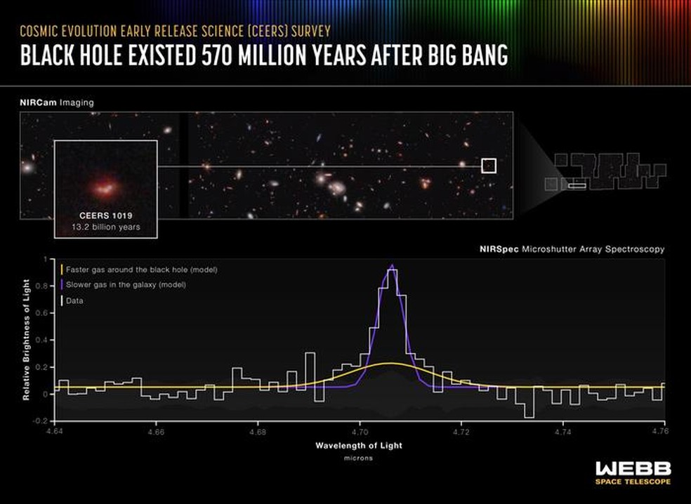 O buraco negro, dentro da galáxia CEERS 1019, existiu pouco mais de 570 milhões de anos após o big bang e é muito menos massivo do que outros buracos negros encontrados anteriormente no início do universo. — Foto: Crédito da ilustração: NASA, ESA, CSA, Leah Hustak (STScI)