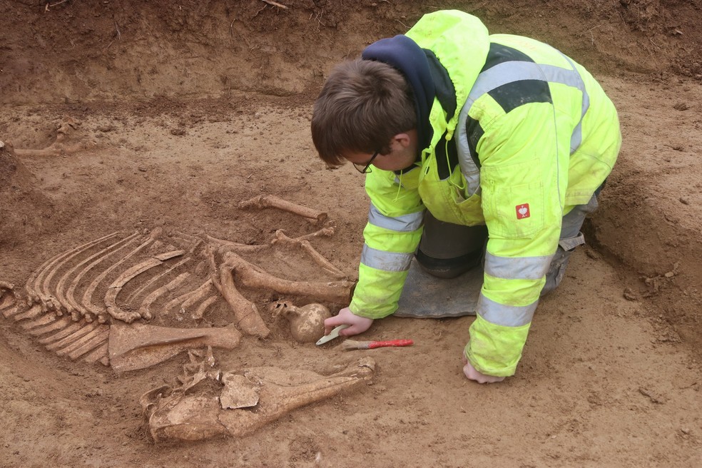 Arqueólogo escavando o esqueleto de um dos cavalo no local do sepultamento — Foto: Escritório Estadual de Preservação de Monumentos no Conselho Regional de Stuttgart/ArchaeoBW
