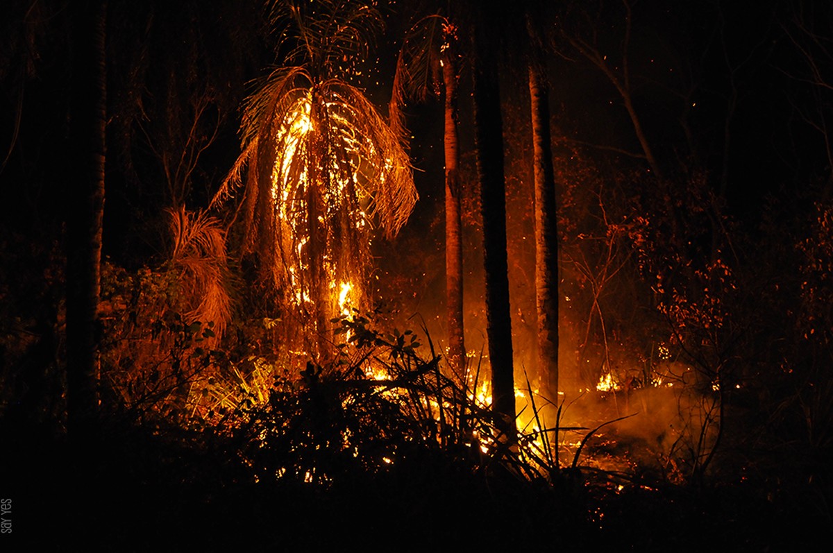 Incêndios se tornaram mais fatais (e causaram mais prejuízos) na última década