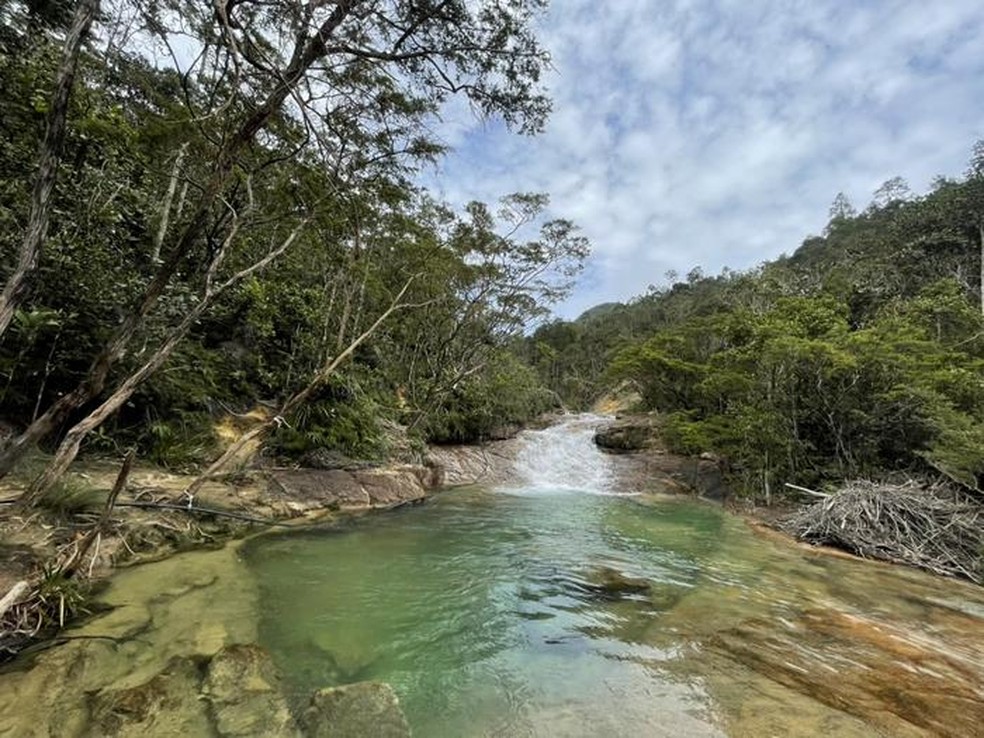 Proximidades do local onde a nova espécie foi encontrada — Foto: Siti-Munirah MY, Mohamad Alias S