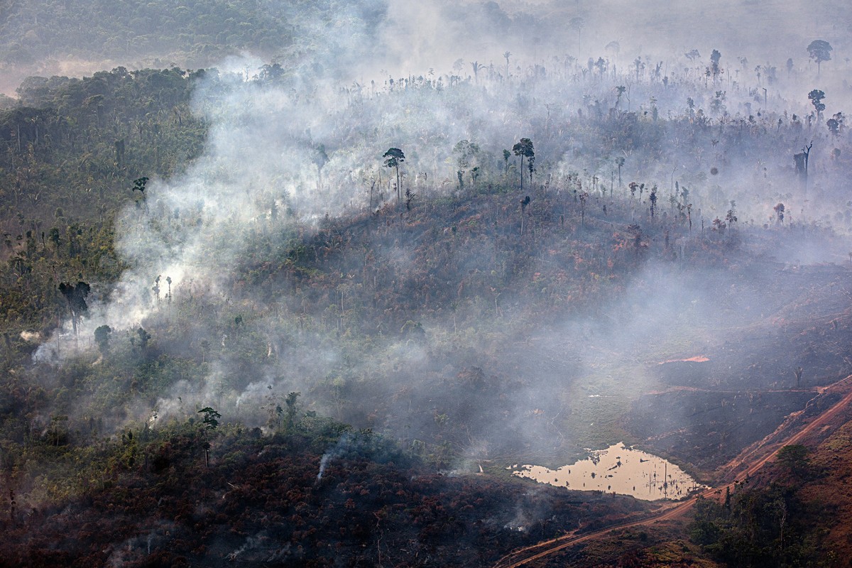 Pontos de não retorno: quando as mudanças climáticas se tornarem irreversíveis
